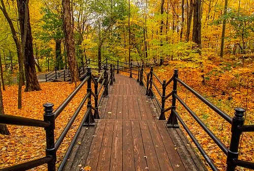 加拿大曼省留學移民，哪些專業比較受歡迎？