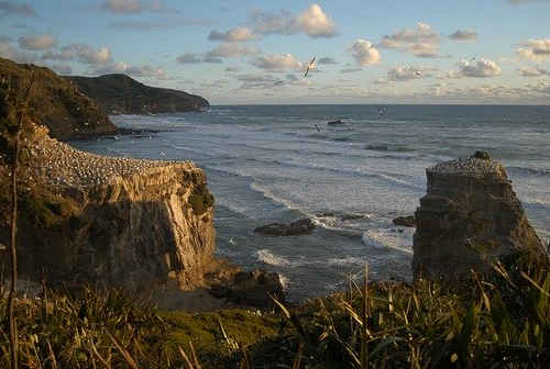 2020留學移民新西蘭，最好找工作的專業是什么？