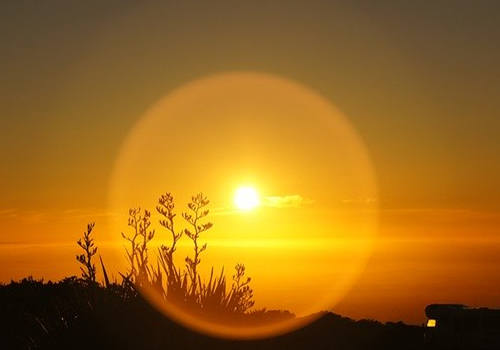 新西蘭留學移民為什么會被拒？如何應對？