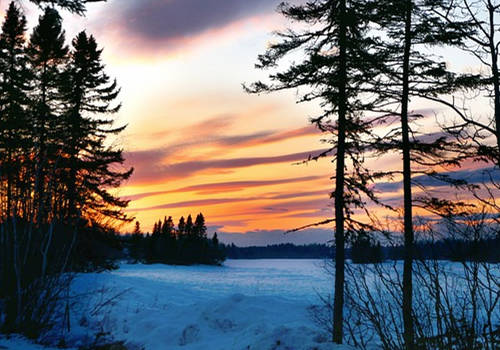 疫情時期，選擇哪種方式移民加拿大最穩妥？