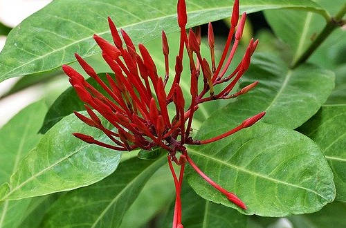 移民馬耳他，買房選在那里比較好