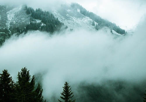 新西蘭留學(xué)移民須知：畢業(yè)工簽如何申請？