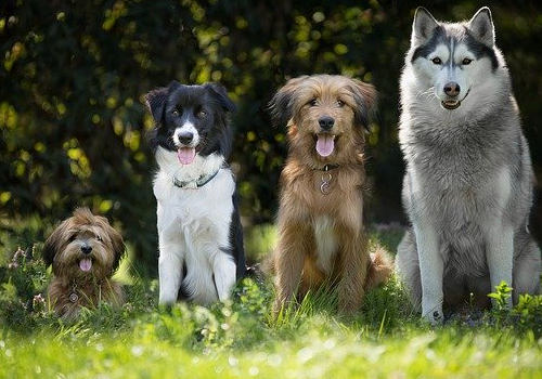 馬耳他移民有哪些不好？華人在馬耳他生活怎么樣？