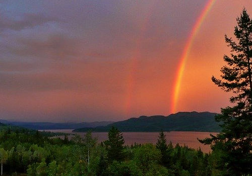 加拿大自雇移民需要什么條件？