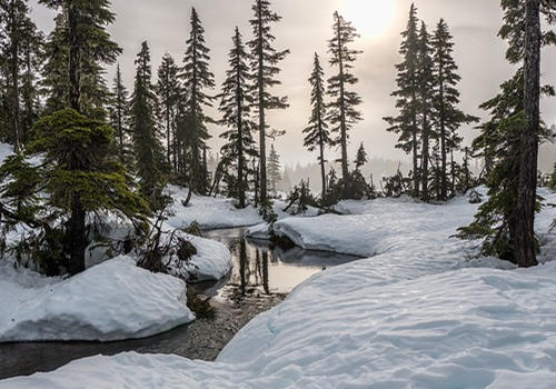 英語不好的人，可通過哪些項目快速移民加拿大？