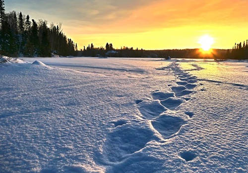 怎樣移民加拿大？低門檻農業移民了解一下~