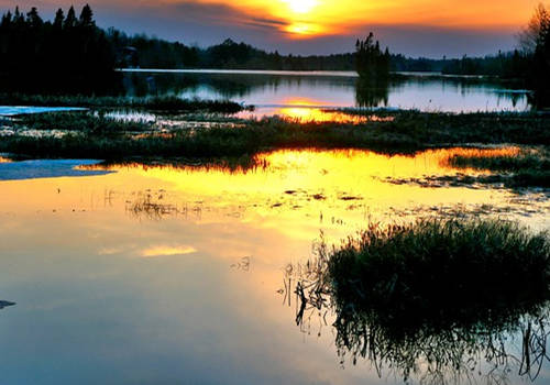 加拿大保姆移民，低門檻移民的最優(yōu)選擇