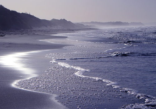 留學移民新西蘭，畢業后如何找工作？