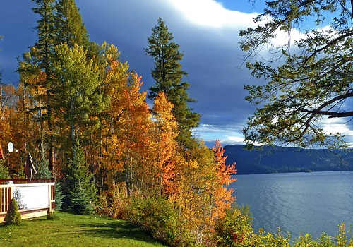 移民加拿大容易么？大概需要多少錢？