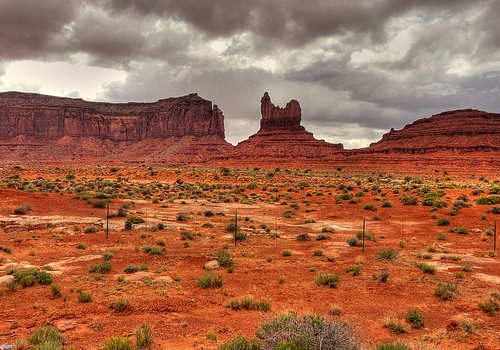 美國NIW移民的通過率高嗎？