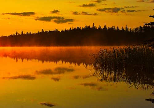 加拿大聯邦自雇移民如何申請？對工作經驗有什么要求？