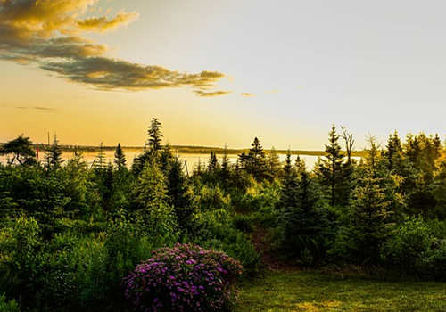 移民加拿大怎么樣，好處和優勢有哪些？