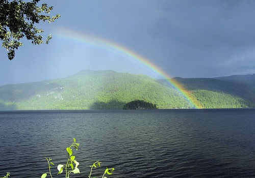 加拿大移民最新動態(tài)：加拿大政府將放寬旅行限制