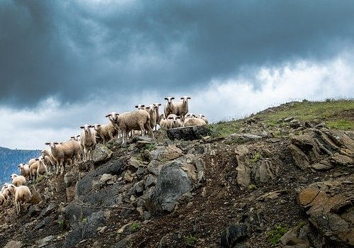 希臘移民怎么樣？有哪些移民優勢？