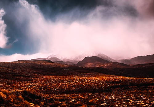 新西蘭留學移民好嗎？留學生活怎么樣？