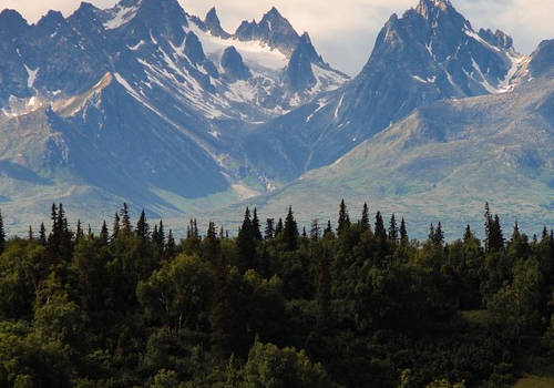 什么是楓葉卡？怎么申請？