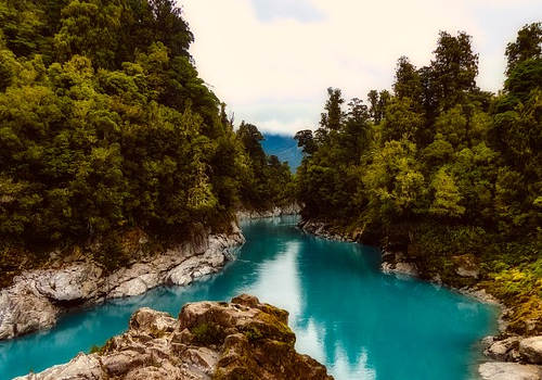 哪些人適合走新西蘭留學移民？