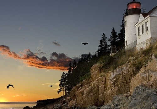 移民美國后，如何快速找到工作？