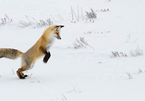 美國(guó)移民生活怎么樣？美國(guó)移民生活事項(xiàng)