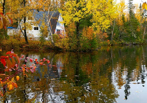 移民加拿大，定居阿省怎么樣？