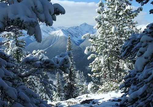 加拿大移民生活壓力大不大？