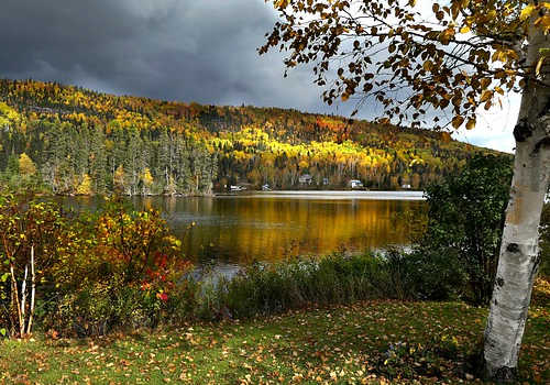 加拿大移民生活成本大揭秘！