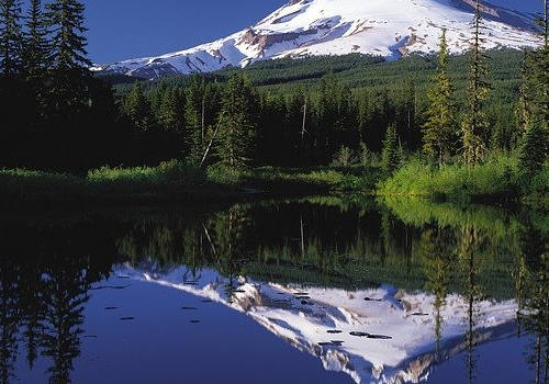 美國移民須知：永久居民&臨時綠卡