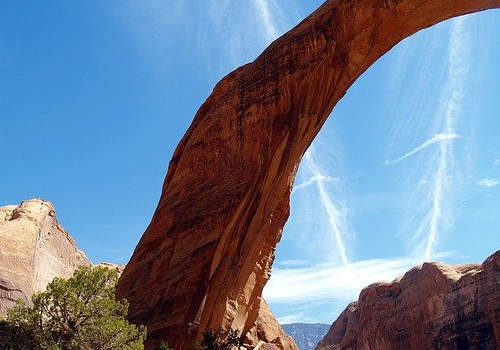 移民美國后，如何快速適應(yīng)新環(huán)境？