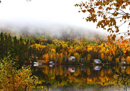 加拿大最歡迎哪類移民人群？