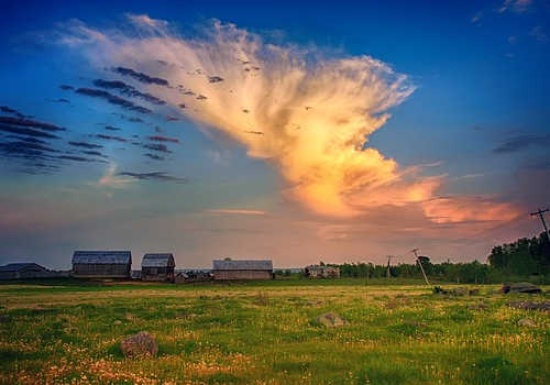 計算機人才移民加拿大，哪個項目成功率更高？