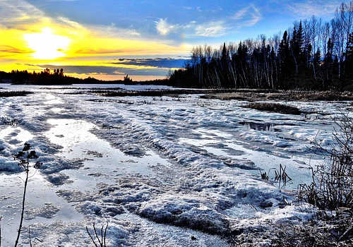 加拿大聯(lián)邦移民申請(qǐng)流程、條件、費(fèi)用、周期