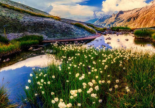 對于新西蘭的留學(xué)生們來說，很多都會在畢業(yè)后選擇拿新西蘭身份。按照新西蘭移民政策，留學(xué)生畢業(yè)后會獲得1年工作簽證，只要在這1年中找到工作，并根據(jù)新西蘭的打分系統(tǒng)，滿足160分，就可以申請移民。今天麥克斯出國就為您講解一下：留學(xué)移民新西蘭，畢業(yè)后如何轉(zhuǎn)移民？