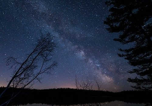 加拿大留學(xué)移民，能擔(dān)保父母一起來么？