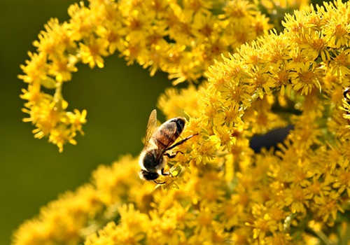 移民大西洋四省，需要哪些申請材料？