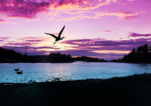 加拿大移民真的好嗎？適合全家移民嗎？