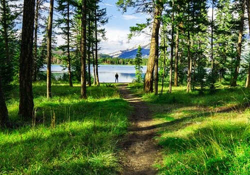 中國(guó)移民在加拿大生活狀態(tài)好嗎？