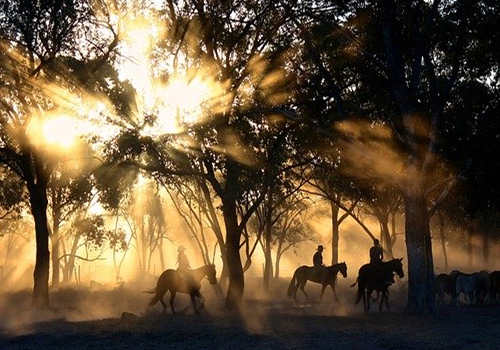 普通人申請澳洲移民難嗎？