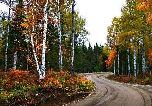 加拿大移民好嗎？移民生活怎么樣