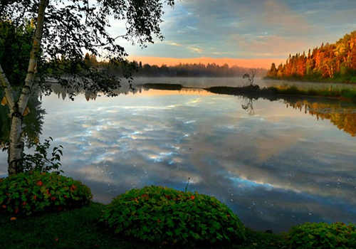 疫情之下，普通人移民加拿大選什么項目好？