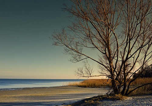 美國eb3移民的申請條件、流程、費用解析