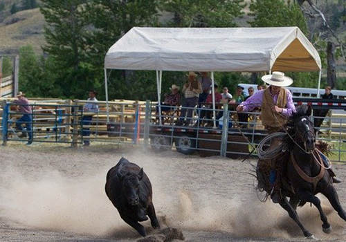 普通人怎么申請移民加拿大？需要多少資金？