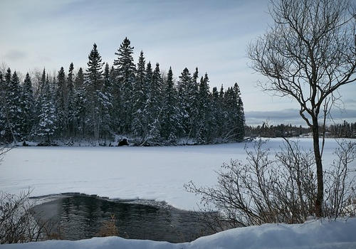 新移民去加拿大生活都帶什么？