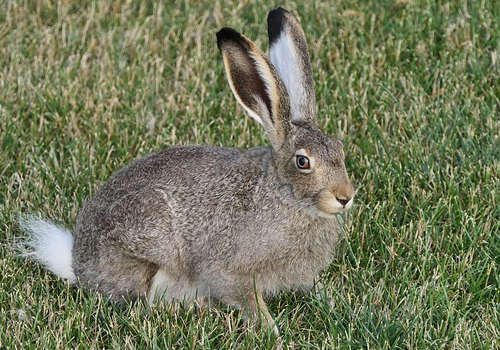 加拿大投資移民，選擇哪個城市生活比較好？