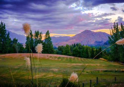 新西蘭留學移民，留學課程怎么選？