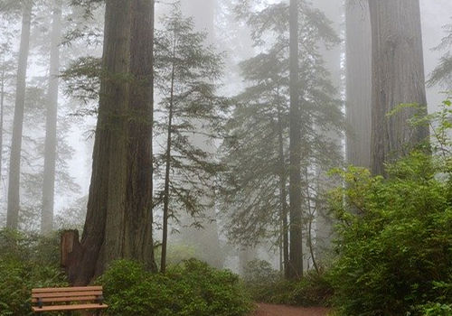 美國移民的生活品質(zhì)高嗎？