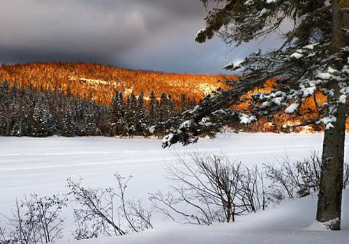 每年選擇出國留學(xué)的人數(shù)都在增長，在這個“人均大學(xué)畢業(yè)”的時代，學(xué)歷的重要性越發(fā)的明顯。在全球的留學(xué)群體中，選擇去加拿大留學(xué)的人數(shù)占了將近30%。今天麥克斯出國就來重點給大家說說，留學(xué)移民加拿大哪個省最容易。