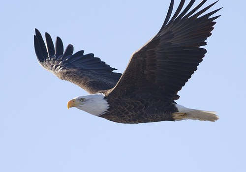 EB3移民適合誰辦理？