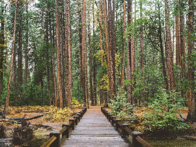 niw移民美國條件是什么？真的很簡單嗎？