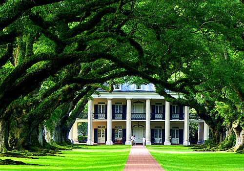 美國移民日常生活消費指南