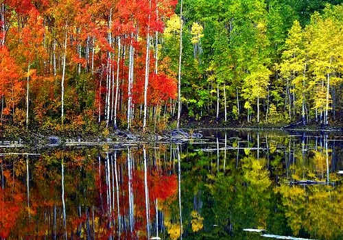 名人才能申請EB1A？你對杰出人才移民誤解太多！